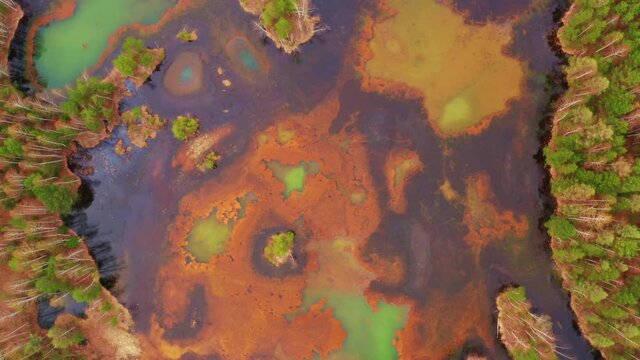 Beautiful toxic lake is located next to green trees. Industrial plant pollutes soil, forest and lake. Concept of environmental disaster and habitat destruction. Aerial view