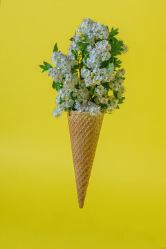 Ice cream cone with flowers on a yellow background. The concept of minimal food.