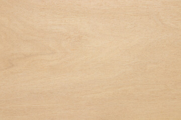 Plywood surface in natural pattern with high resolution. Wood grain texture background.