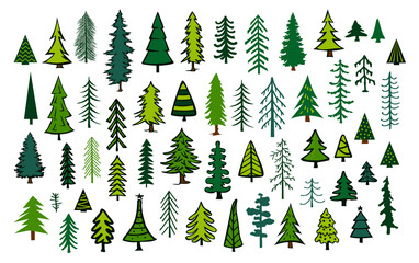 Obraz premium cute abstract conifer evergreen pine fir christmas needle trees collection