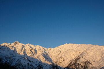 Fototapeta premium 橙色の朝