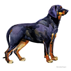 Slovensky Kopov. watercolor hunting dog breed clipart