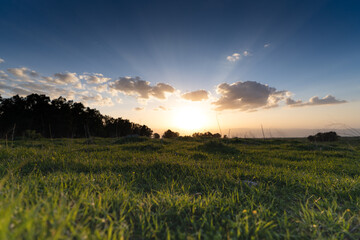 sunset over field