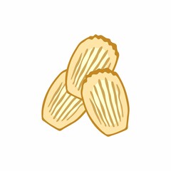 Vector illustration of madeleine cookies. Fresh delicious pastries, dessert. French biscuit cookies isolated on white background. 