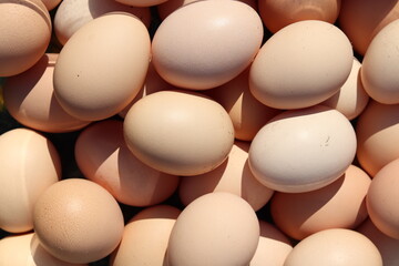 Free-range hen eggs. A pile of organic chicken eggs.