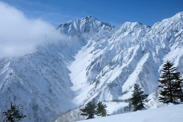 Fototapeta premium 氷河