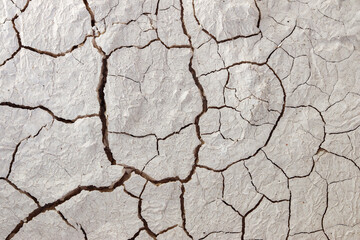 Cracks on the dry lime. White cracked texture background.