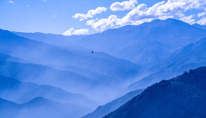 Condor in Andes mountains in Chile in a beautiful blue color