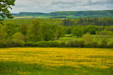 Frühlimg im Morvan im Burgund