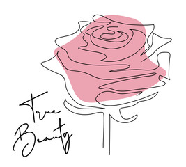 Rose flat vector abstract element with True Beauty lettering.Valentines day and other holidays decoration. Organic shape on white background. Single continuous line art. 