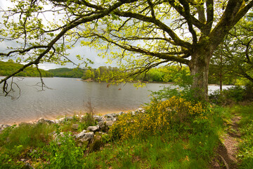 Lac de Créscent im Morvan im Burgund
