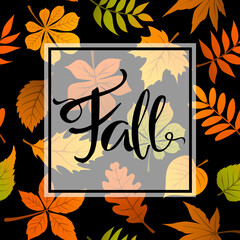 autumn fall leaves foliage background on seamless pattern texure