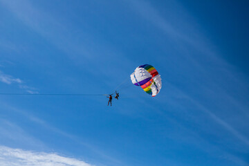 Naklejka na ściany i meble parachuye flight in fine weather against the background of a blue sky with small clouds