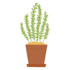 Cartoon rosemary in pot. Isolated vector illustration for handmade, postcard, print on t-shirt, stickers. Home gardening