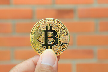 bitcoin litecoin and cryptocurrency coin on brick wall background
