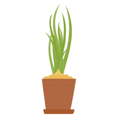 Green onion or Chives in pot. Isolated vector illustration for handmade, postcard, print on t-shirt, stickers. Home gardening spring onions