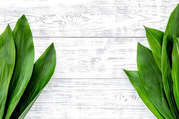 Obraz premium Bright spring green leaves on white wooden background top view copy space border