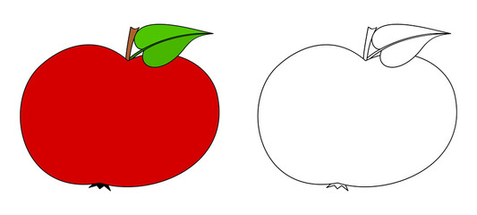 Apple colorful and black and white. Coloring book page for children. Colored and outline vector illustration isolated on white background.