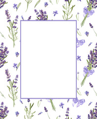 Lavender flowers seamless pattern isolated on white background. Watercolor hand drawing  botanical illustration. For card, wallpaper, packaging, invitation