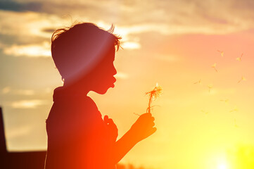 A young man or boy blows off a dandelion against the background of a yellow sunset 