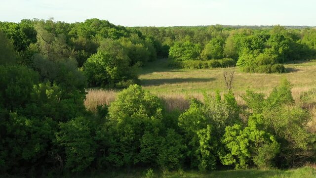 Aerial view to spring deciduous forest with green glade