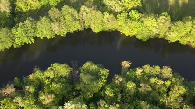 Aerial view to spring forest by river Seversky Donets