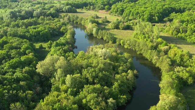 Aerial view to spring forest with river Seversky Donets