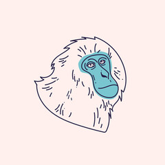 Snow monkey Ink style illustration. Japanese ape portrait outline design. Asian wildlife hand drawn tattoo art.