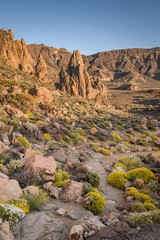 Rocky desert landscape in Teide National Park in Tenerife in the Canary Islands