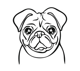 Vector of pug dog face on white background, Pet. Animals. Vector illustration.