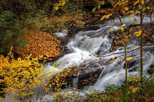 Carson creek tumbles over rocks and bolders in Pisgah Forest during autumn season