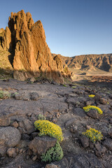 Rocky desert landscape in Teide National Park in Tenerife in the Canary Islands