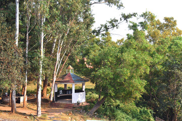 A small little hut made in the middle of a forest surrounded by green trees