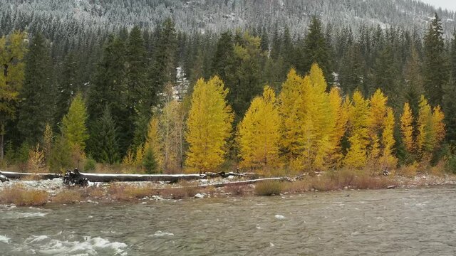 4k Cle Elum River Colorful Trees Aerial Drone View