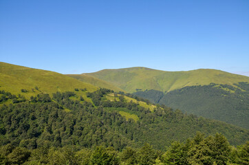 Fototapeta na wymiar Beautiful green hills on sunny summer day. Landscape of Borzhava ridge of the Ukrainian Carpathian Mountains. Tourism in Ukraine