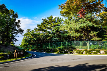 韓国、大邱大学とその周辺を散策する