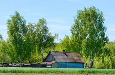 The nature of Belarus. Belarusian village.