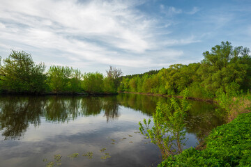 river in the forest