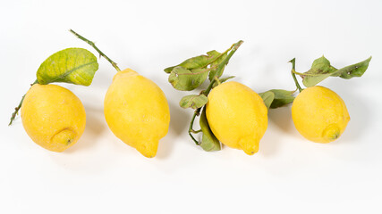 Lemons with its leaves, on white background - obrazy, fototapety, plakaty