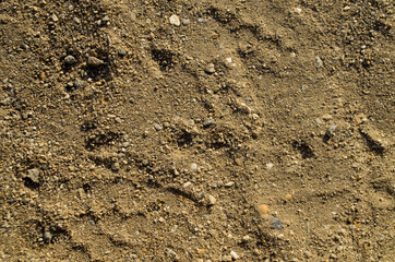 rough texture of dirty sand surface