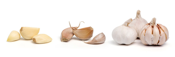 Garlic isolated on white background. Cooking spices