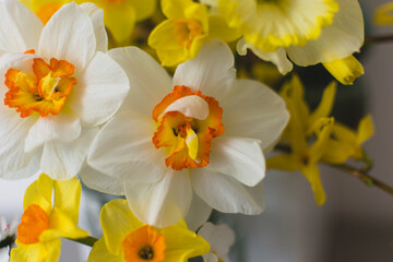 Fototapeta na wymiar Daffodils and Daisies 