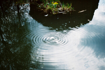water waves