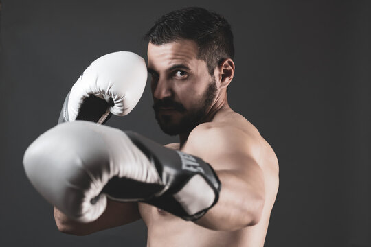 adult boxer posing in a photo studio