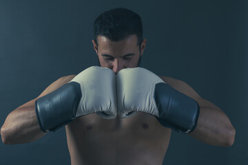 Plakat adult boxer posing in a photo studio
