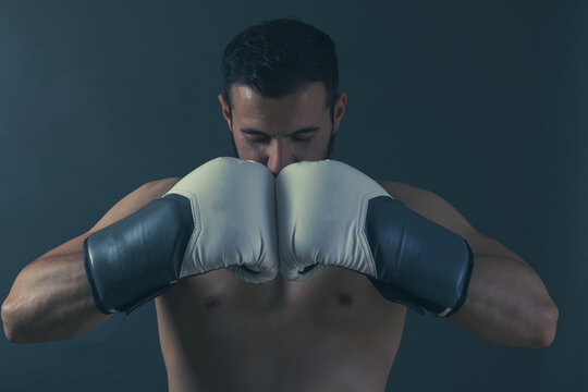 adult boxer posing in a photo studio