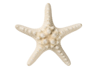 Natural Starfish. White Knobby Starfish. Dried Sea Star. Ocean beach animals. Summer vacation. Macro High resolution photo. Full depth of field. Top view isolated on white background.
