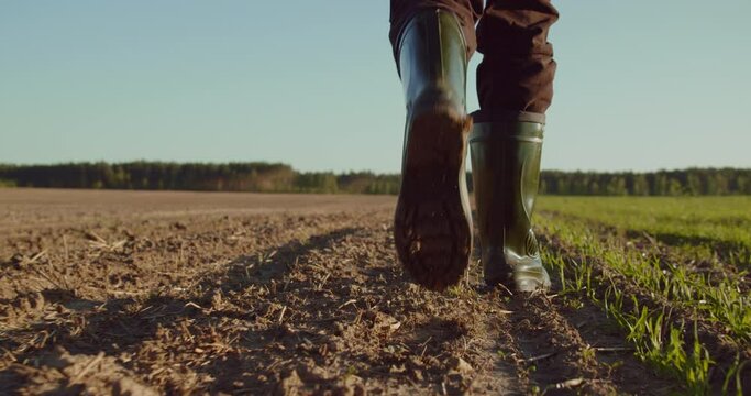 Farmer walks through a plowed field in early spring. Low angle: man walking in rubber boots in a farmer's field, the blue sky above the horizon. Man walking through an agricultural field. SLOW MOTION