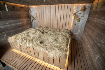 Interior of a wooden sauna, steam room, bathhouse with hay on wooden bench. 