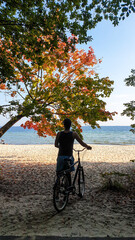 A man in shorts standing next to his bike and enjoying the view on a colorful tree at the beach in Gdynia, Poland. Calm Baltic Sea in the back. The tree is changing colors for autumn. Serenity - obrazy, fototapety, plakaty